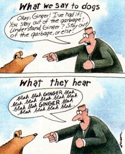Gary larson far side cartoon what we say to dogs blah blah ginger