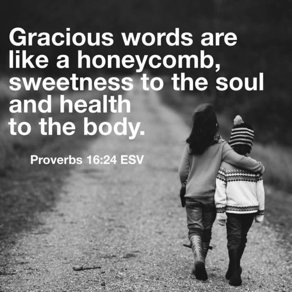 "Gracious words are like a honeycomb, sweetness to the soul and health to the body." -Proverbs 16:24