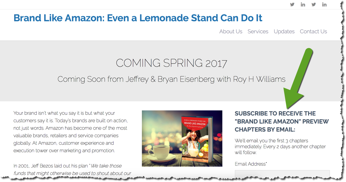 Brand Like Amazon - Jeffrey and Bryan Eisenberg and Roy H. Williams