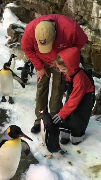 Sarah meeting penguins