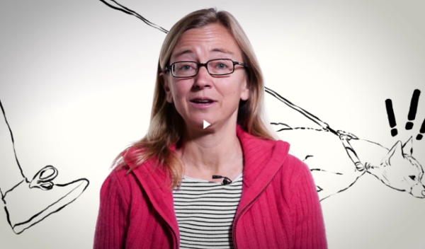 Inc.com video about being honest but caring