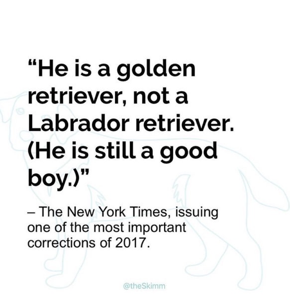 "He is a golden retriever, not a Labrador retriever. (He is still a good boy.)" - New York Times correction